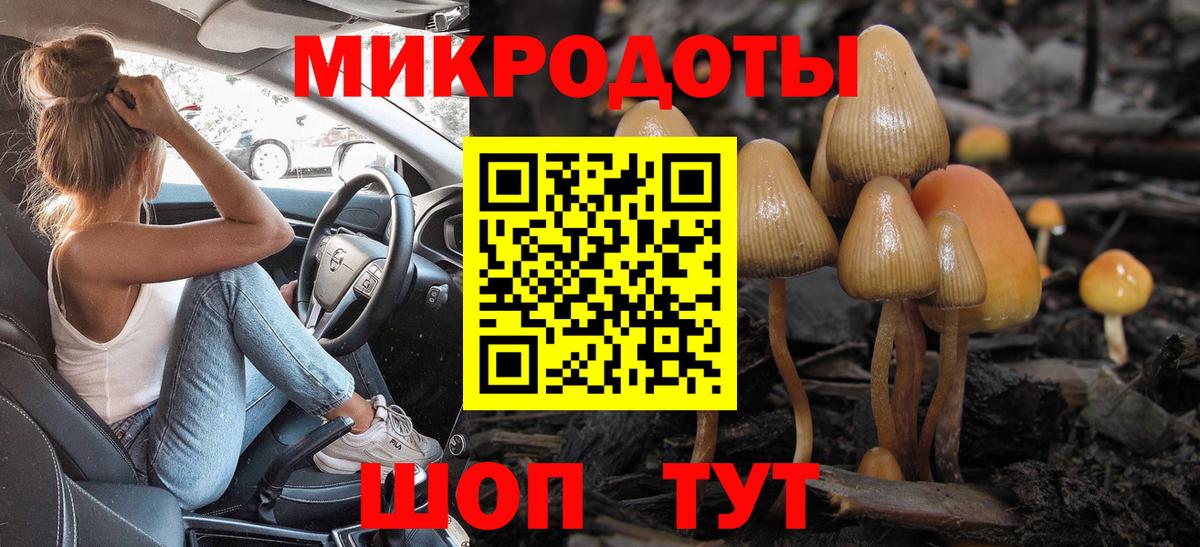 Псилоцибиновые грибы мухоморы Вышний Волочёк