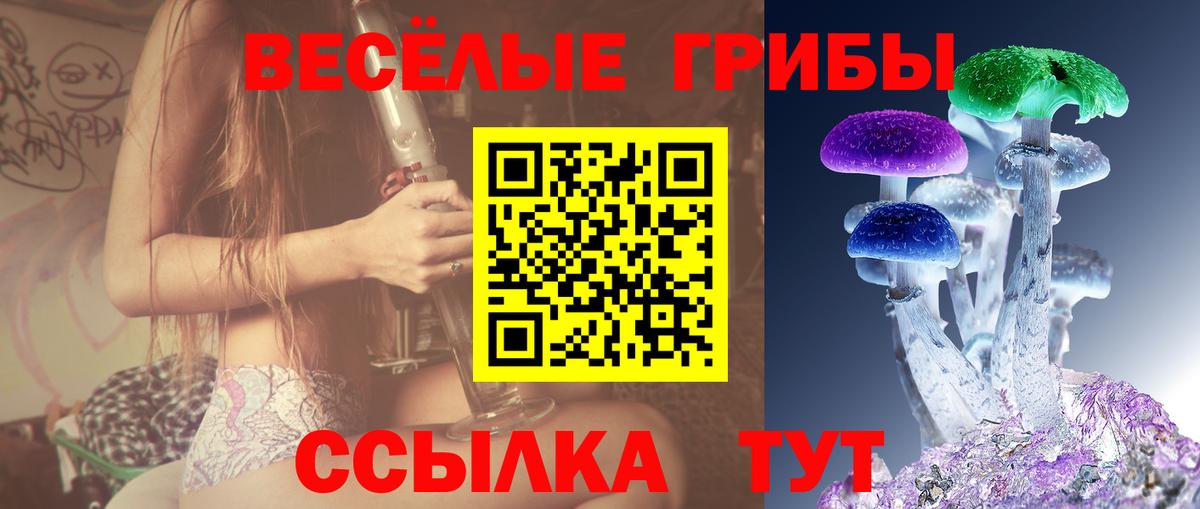 Вышний Волочёк  Галлюциногенные грибы Psilocybe  Галлюциногенные грибы MAGIC MUSHROOMS  Вход с VPN 